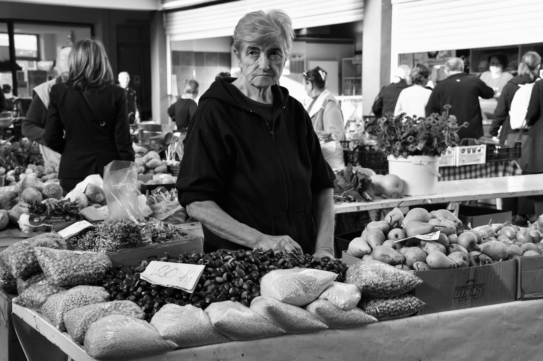 What to Do in Cremorne This Weekend — 2026 Guide