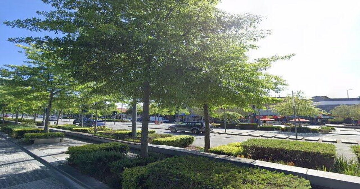 Dandenong Community Guide — Groups, Events, Culture