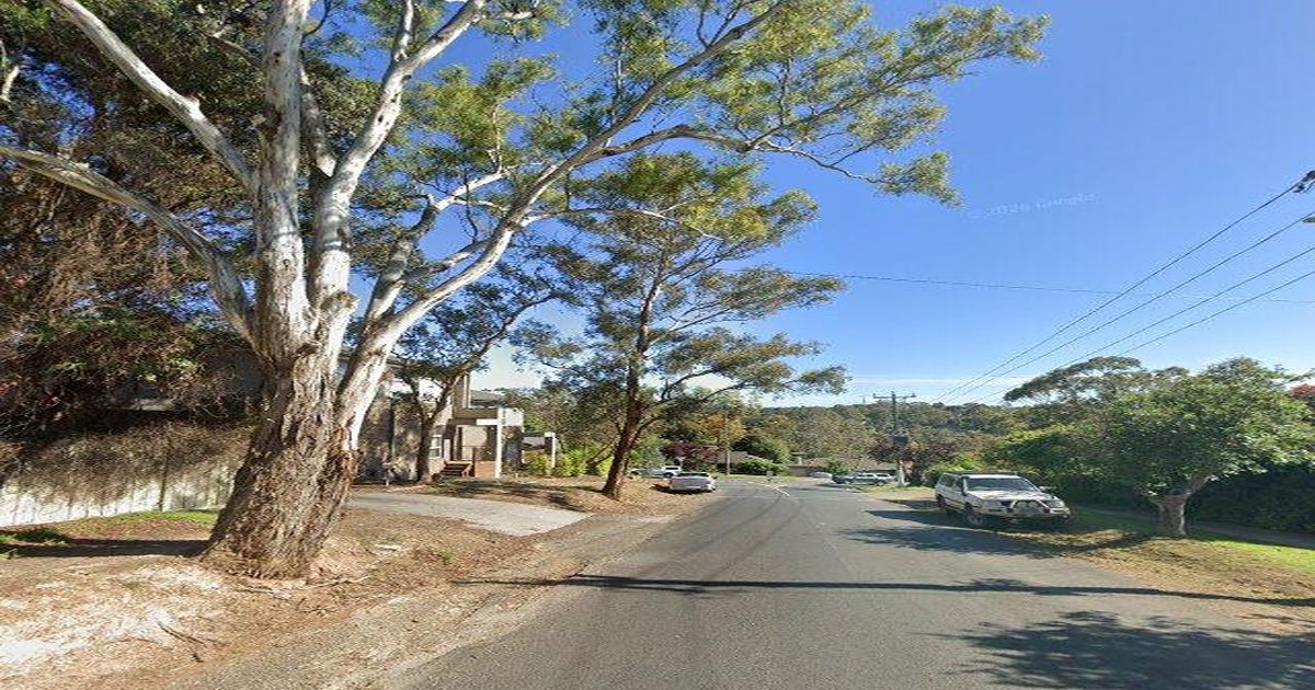 Best Wine Bars in Diamond Creek — 2026 Guide