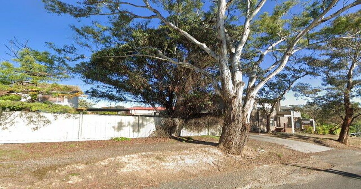 Diamond Creek Council Services — Everything You Need