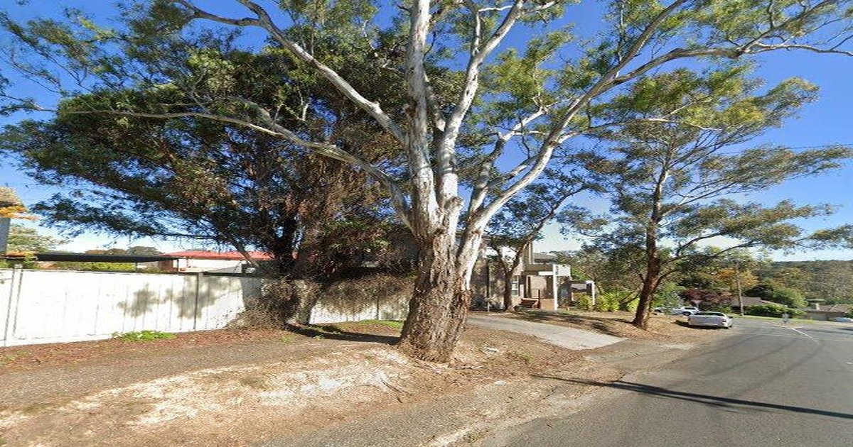 Is Diamond Creek Good for Families? Schools, Parks & Safety (2026)