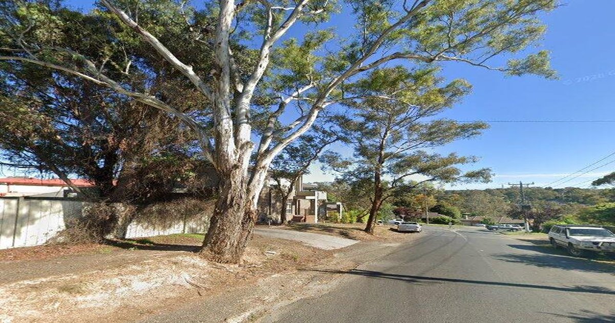 Parks & Green Spaces in Diamond Creek