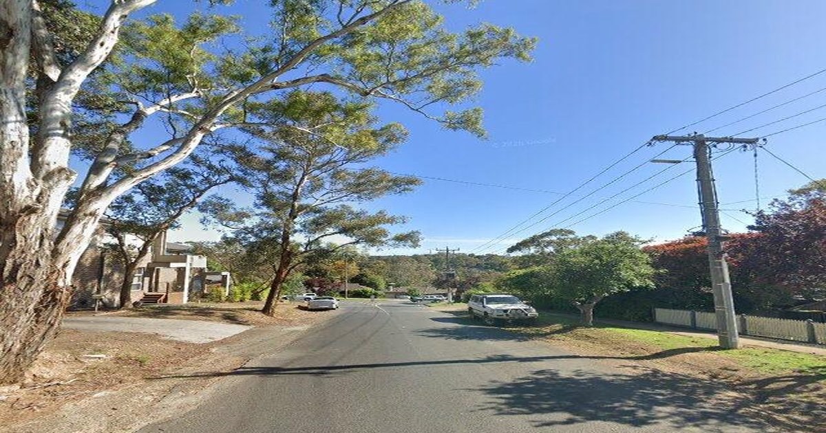 Pet-Friendly Diamond Creek (2026) — Dog Parks, Cafes & Vets