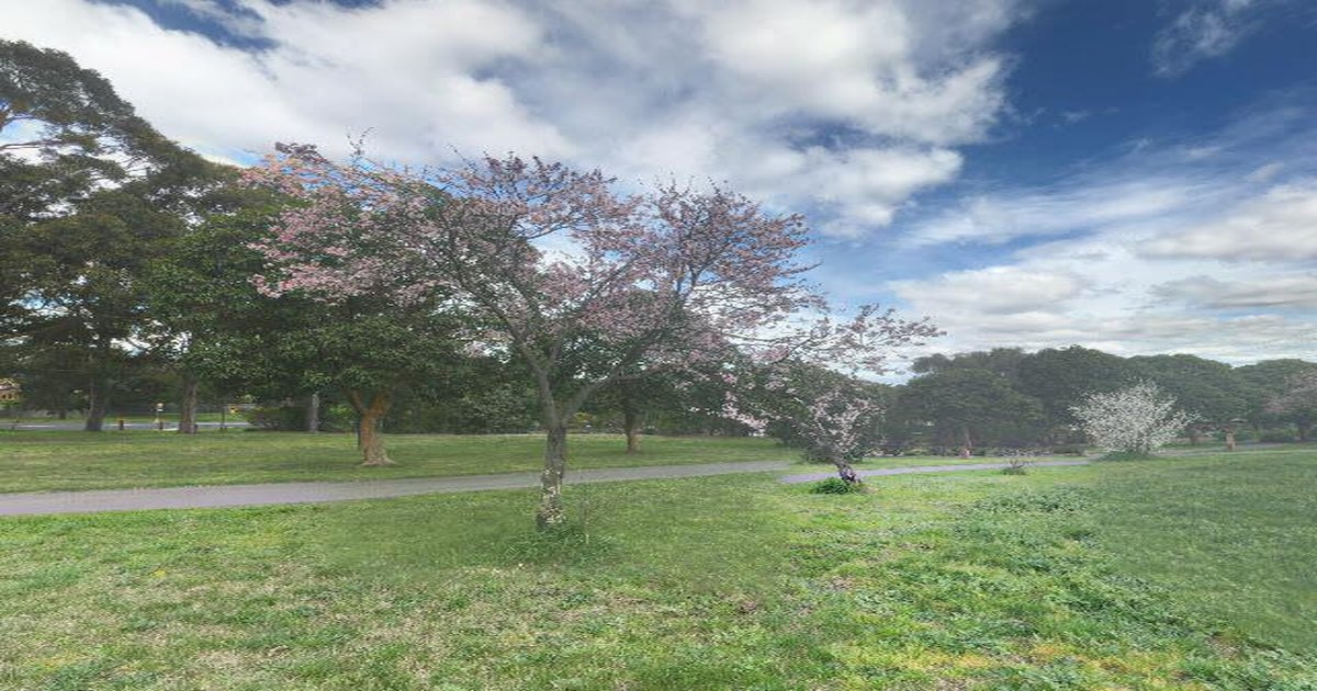 Pet-Friendly Doncaster East (2026) — Dog Parks, Cafes & Vets