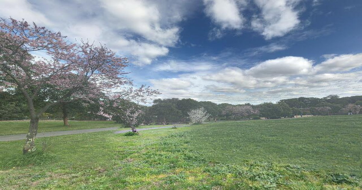 Running & Cycling in Doncaster East