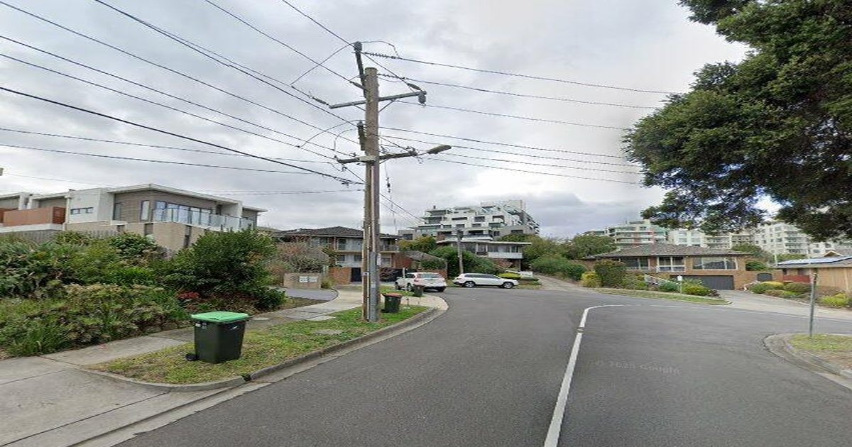 Best Dog Friendly Guide in Doncaster Melbourne — 2026 Guide