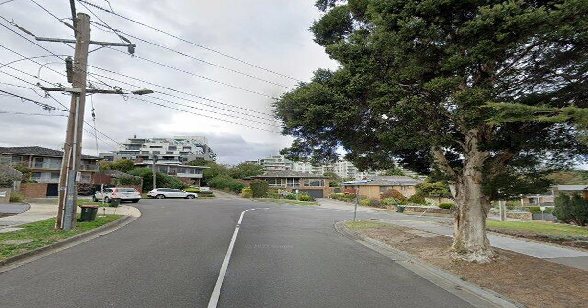 Pet-Friendly Doncaster (2026) — Dog Parks, Cafes & Vets