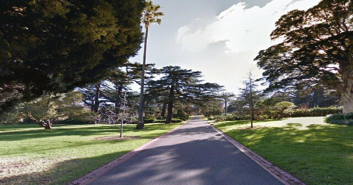 Best Bakeries in East Melbourne — 2026 Guide