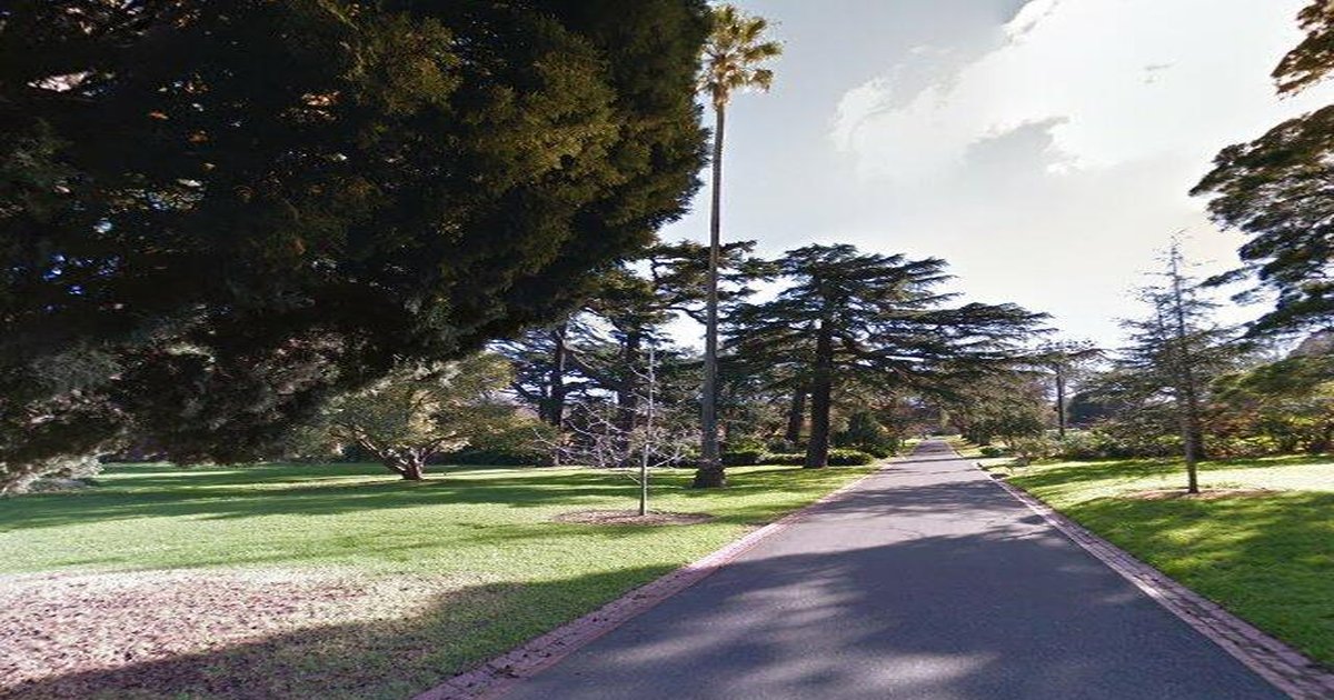 Best Pizza Food in East Melbourne (2026) — 5 Restaurants