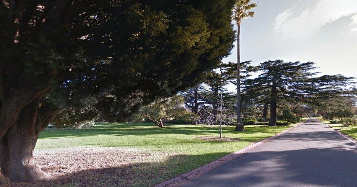 East Melbourne Council Services — Everything You Need