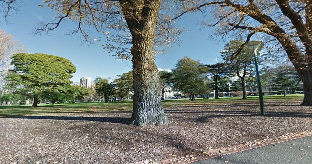 Best Dog Friendly Guide in East Melbourne Melbourne — 2026 Guide