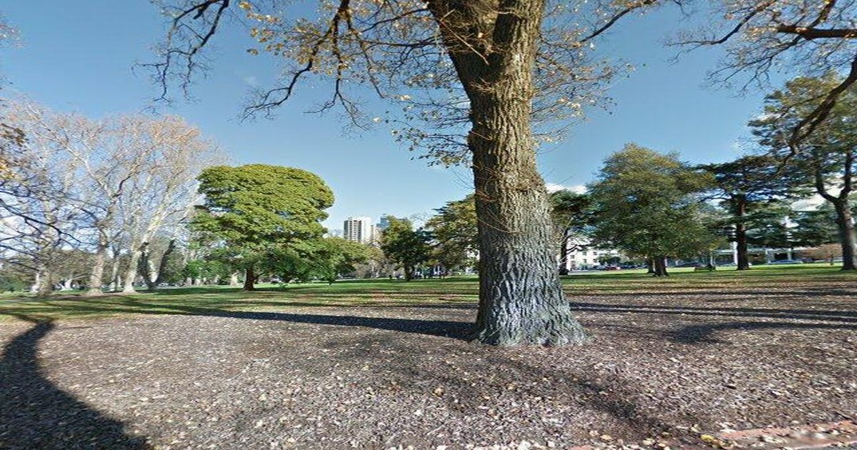 Is East Melbourne Good for Families? Schools, Parks & Safety (2026)