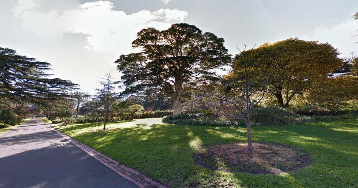 Healthcare in East Melbourne — GPs, Specialists, Hospitals