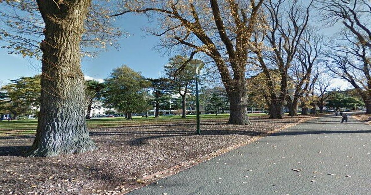 Pet-Friendly East Melbourne (2026) — Dog Parks, Cafes & Vets