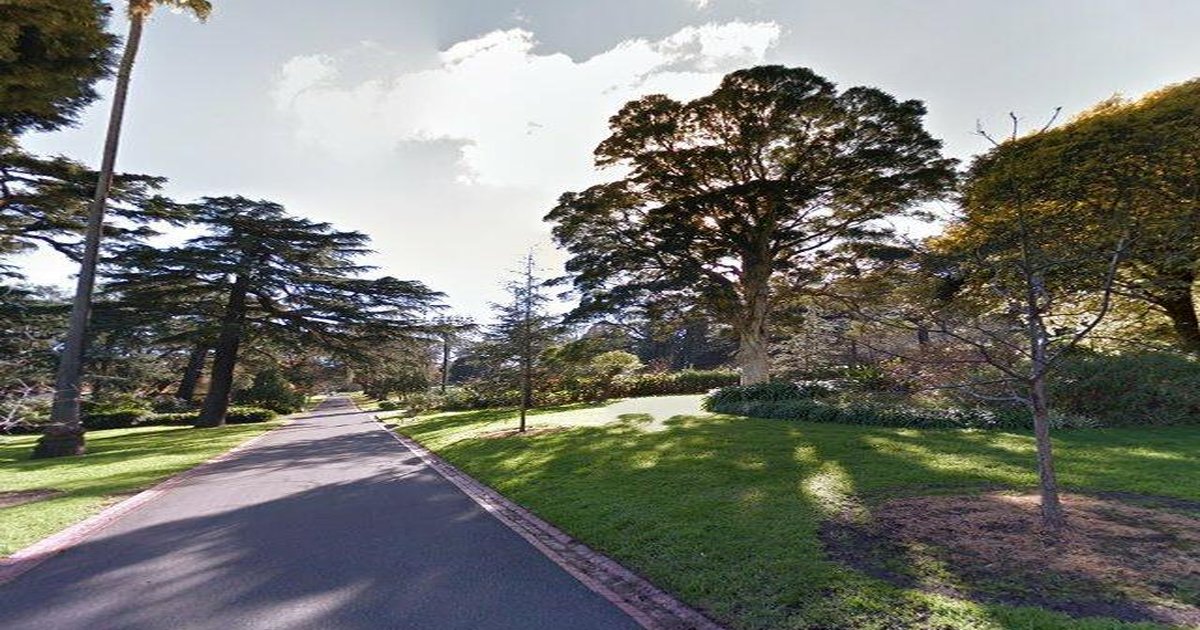 East Melbourne Transport Guide (2026) — Trains, Trams, Buses