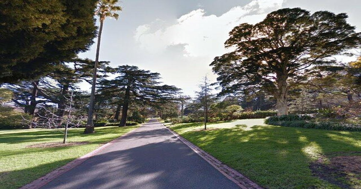 Is East Melbourne Good for Young Professionals? (2026)