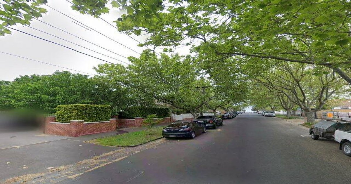 Pet-Friendly Elwood (2026) — Dog Parks, Cafes & Vets