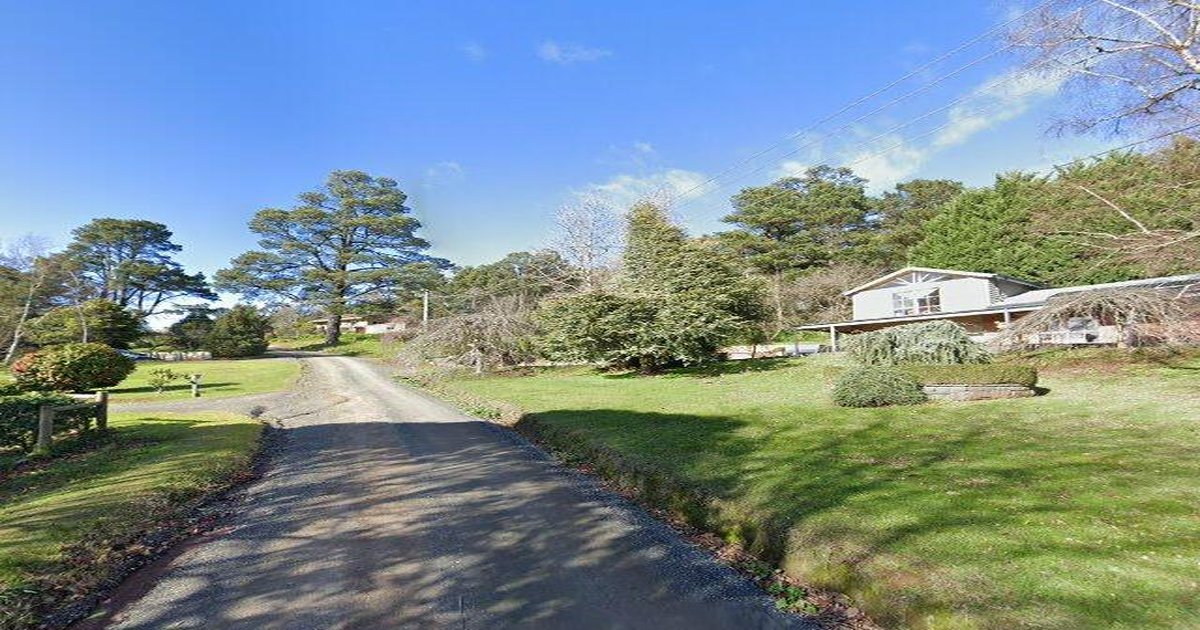 Best Bakeries in Emerald — 2026 Guide