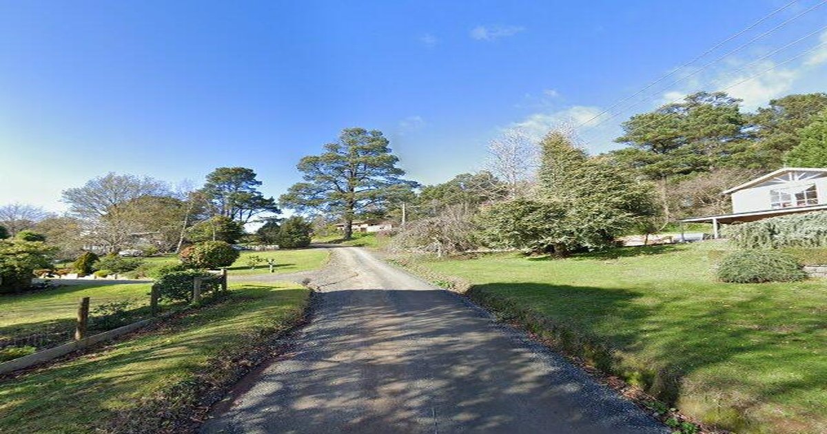 Best Pizza in Emerald — 2026 Guide