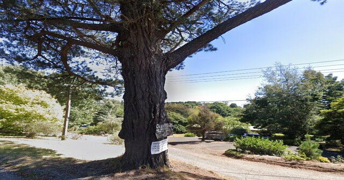 Emerald Investment Guide — 2026