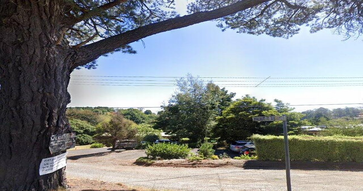 Emerald for Young Professionals — 2026