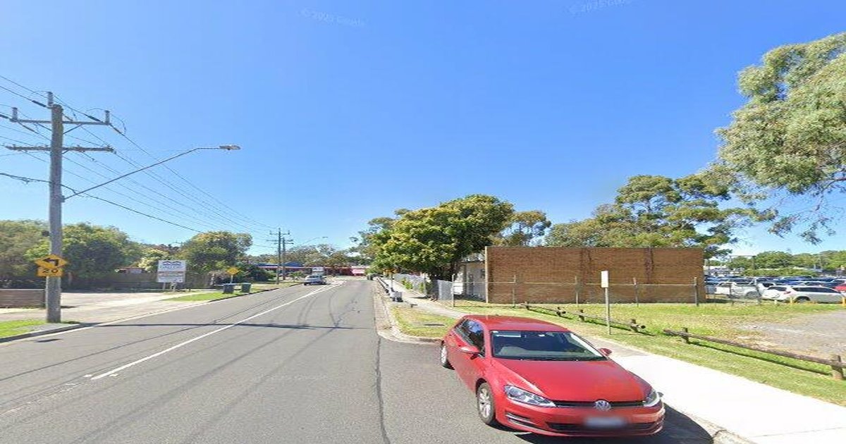 Best Dog Friendly Guide in Ferntree Gully Melbourne — 2026 Guide