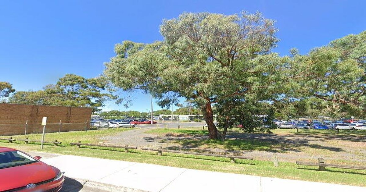 Running & Cycling in Ferntree Gully