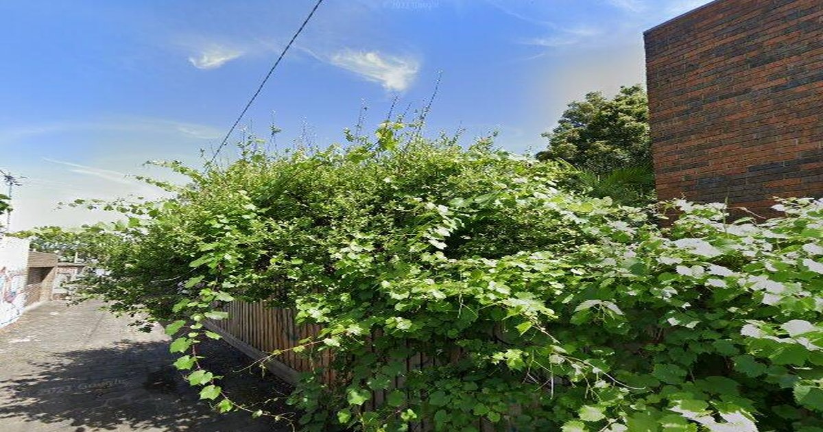 Fitzroy North Council Services — Everything You Need