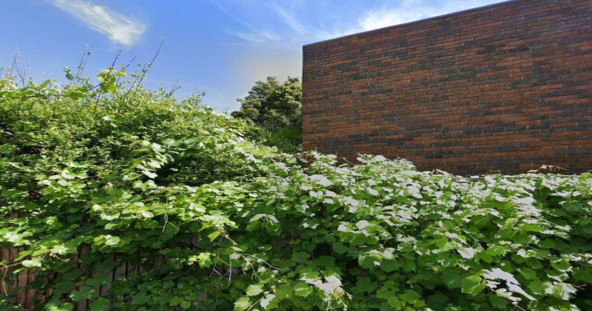 First Home Buyer Guide — Fitzroy North 2026