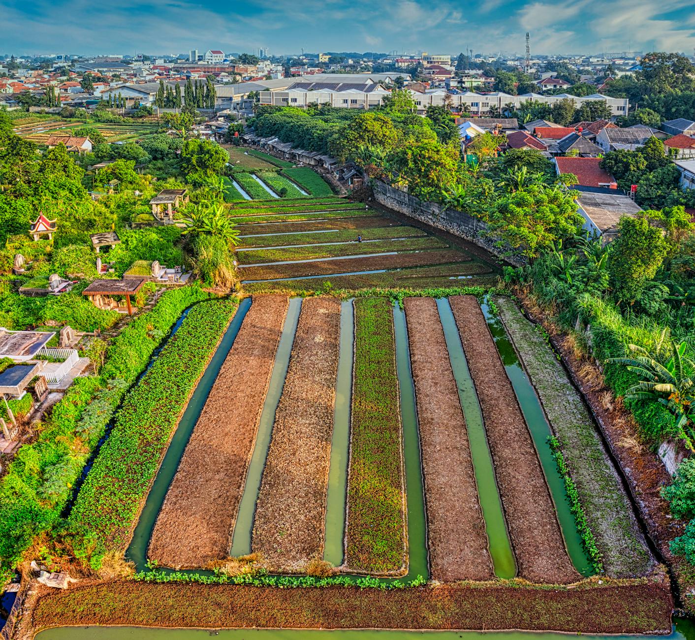 Fitzroy North Honest Guide 2026: Edinburgh Gardens and Beyond