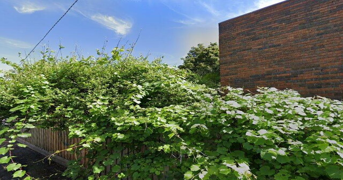 Libraries in Fitzroy North — Beyond Books