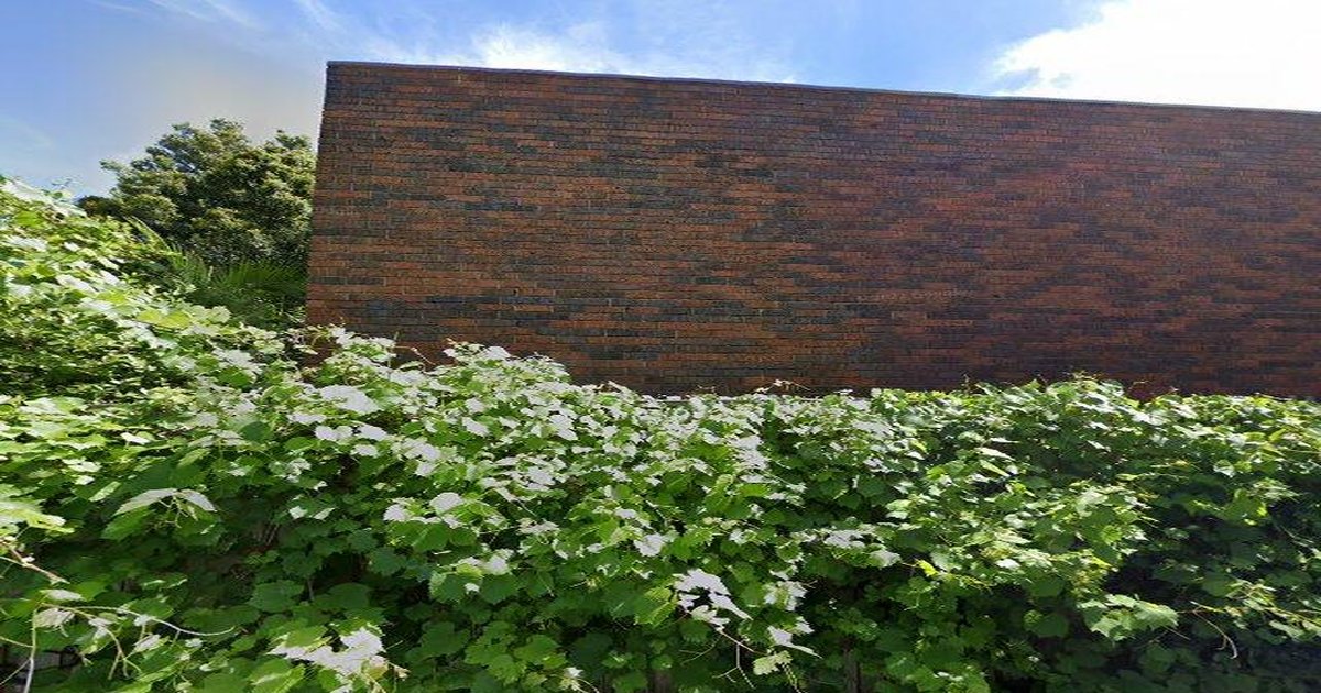 Fitzroy North Rental Market — 2026 Guide