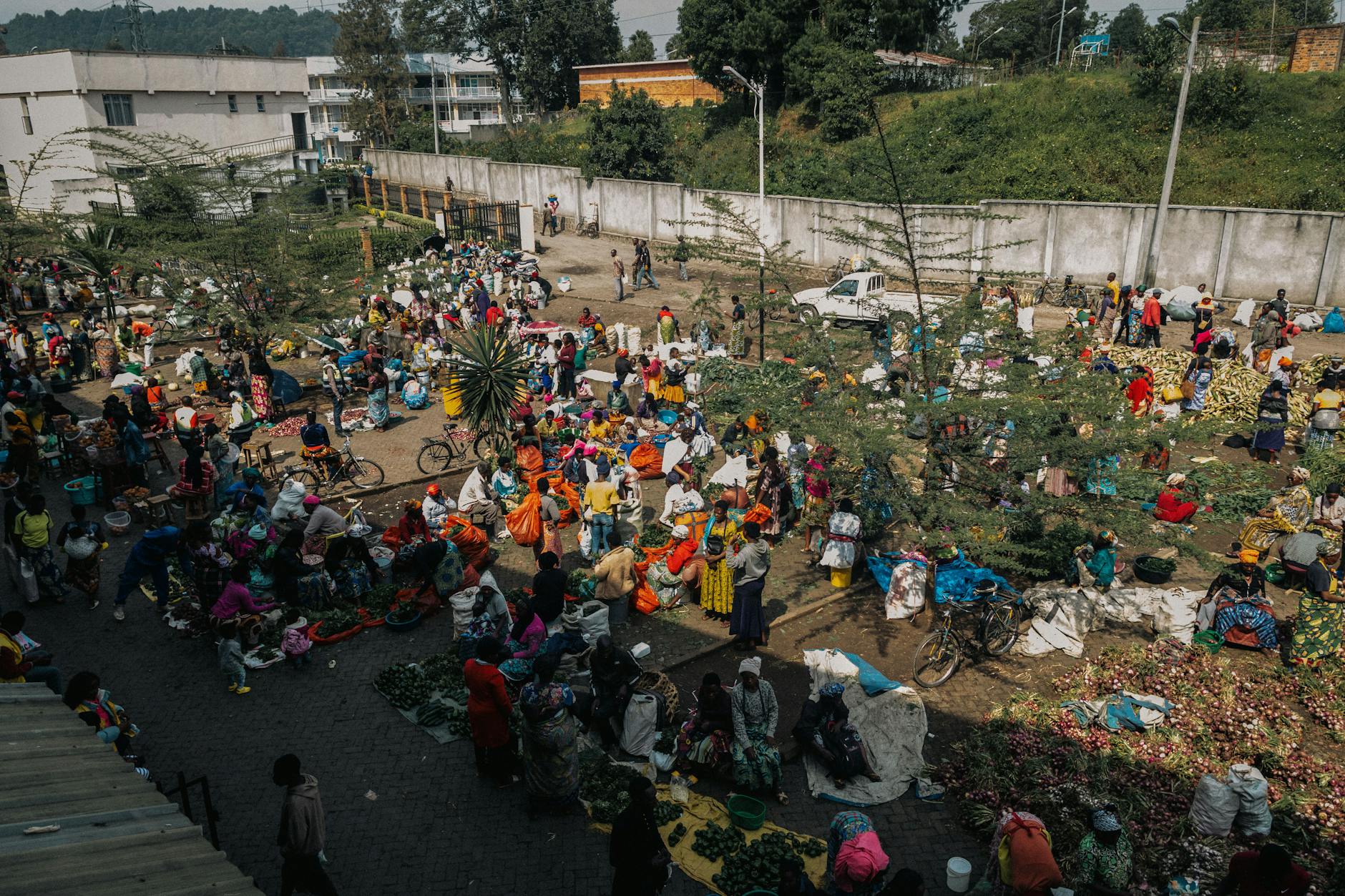 What to Do in Fitzroy North This Weekend — 2026 Guide