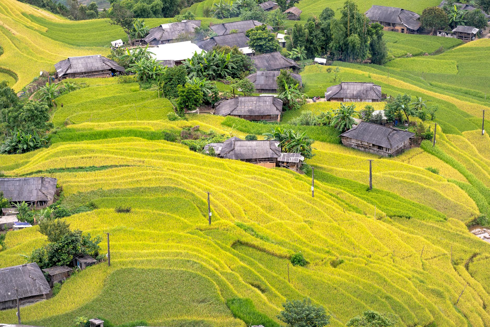 Fitzroy Honest Guide 2026: Brunswick Street Reality Check