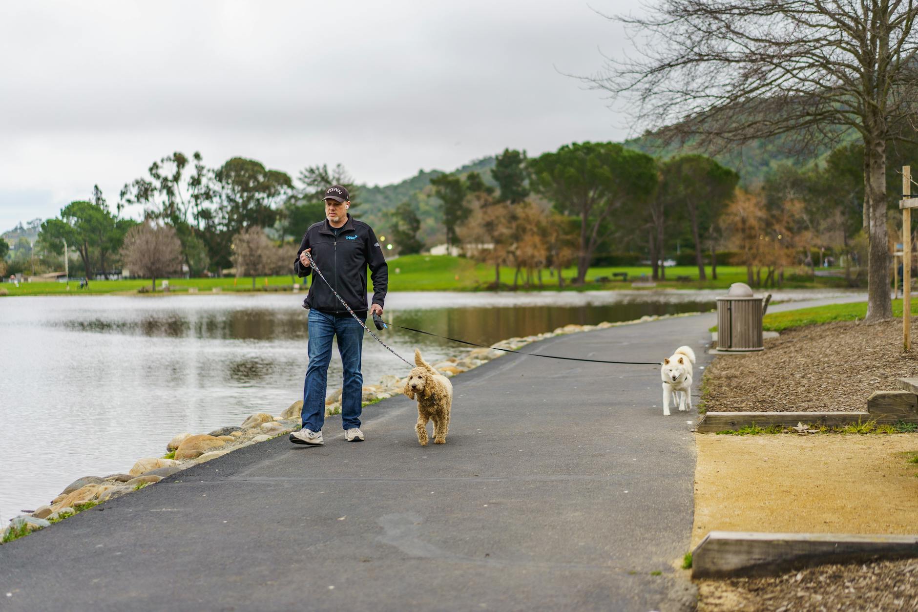 Dog-Friendly Fitzroy: Off-Leash Parks, Pet Cafes and Vet Access