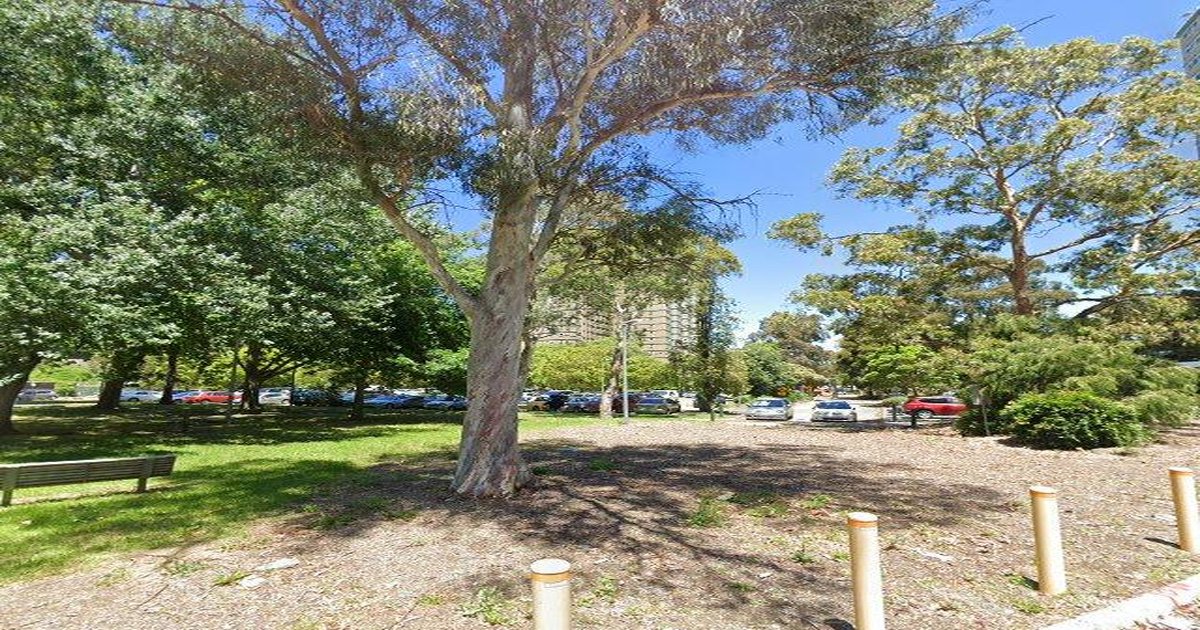 Best Restaurants in Flemington (2026) — 15 Spots Ranked