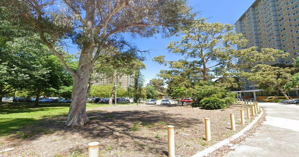 Best Thai Food in Flemington — 2026 Guide