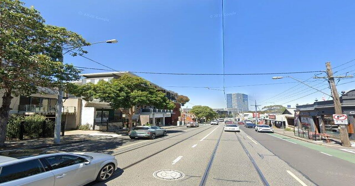 Dog-Friendly Flemington — Parks, Cafes and Walks