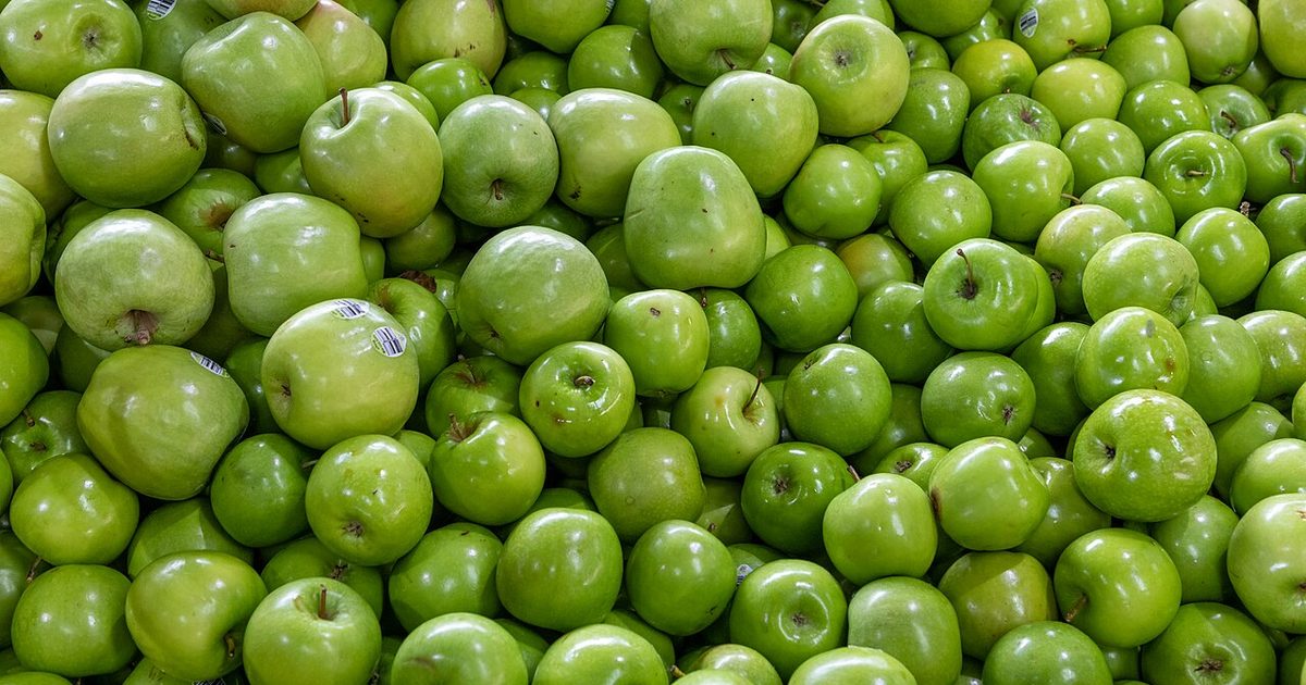 Best Dumplings in Melbourne 2026