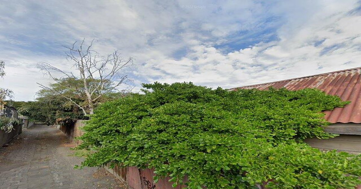 Footscray Community Guide — Groups, Events, Culture