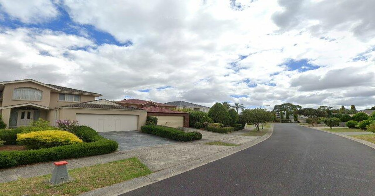 Best Dog Friendly Guide in Forest Hill Melbourne — 2026 Guide