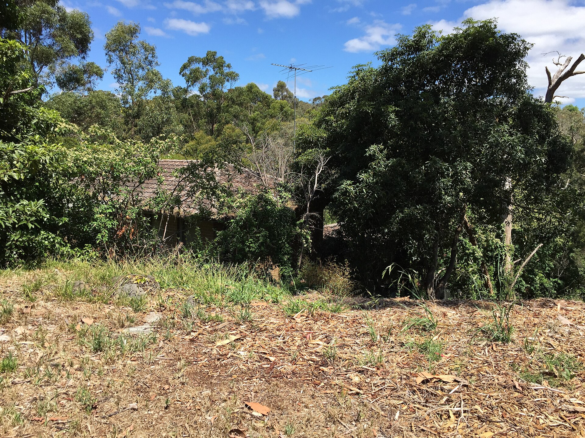 Frankston South Fixer-Uppers 2026: Renovation Opportunities and Returns