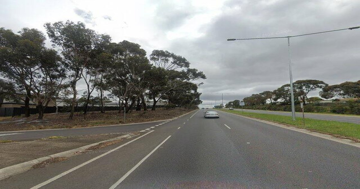 Best Wine Bars in Gladstone Park — 2026 Guide