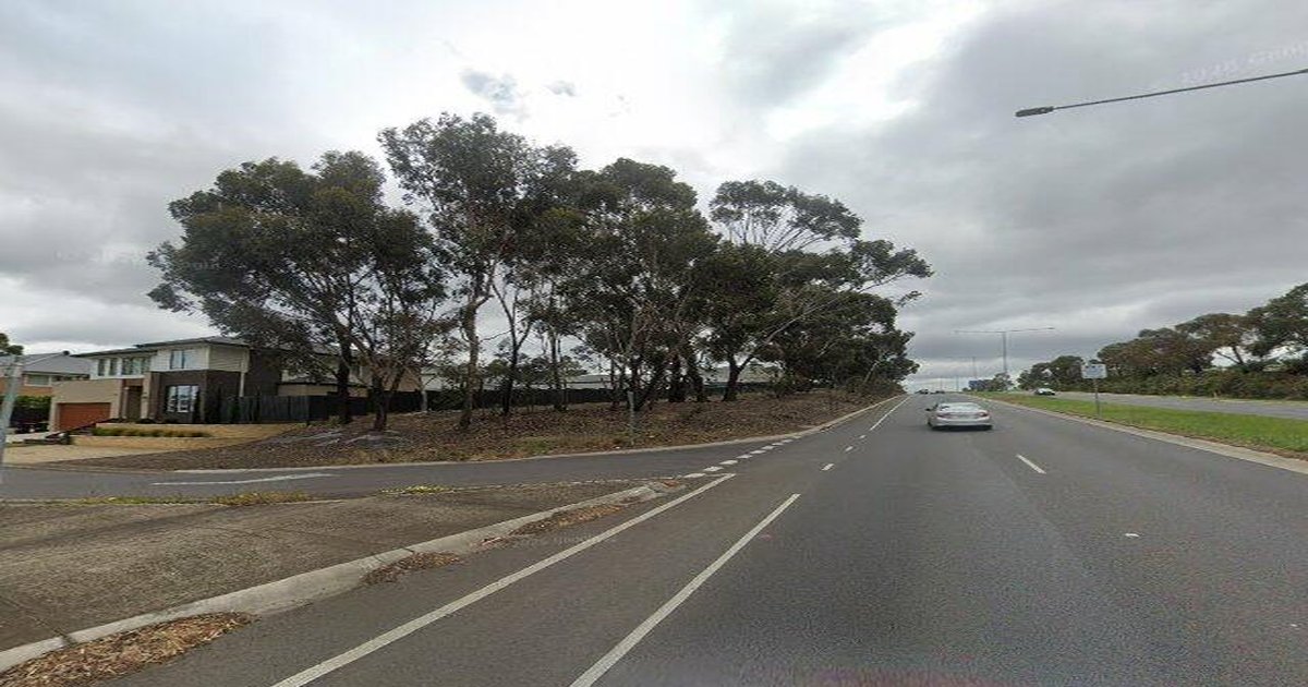 Best Dog Friendly Guide in Gladstone Park Melbourne — 2026 Guide