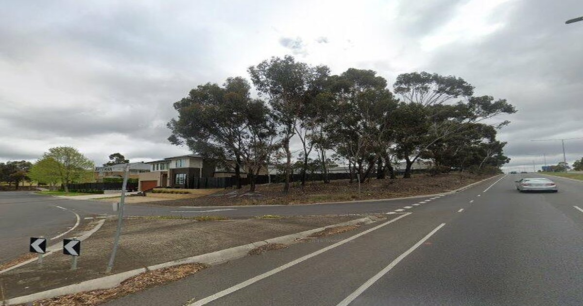 Libraries in Gladstone Park — Beyond Books