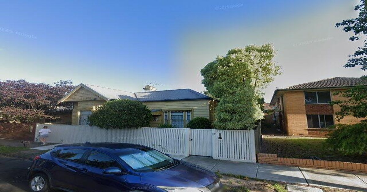 Best Dog Friendly Guide in Glen Huntly Melbourne — 2026 Guide