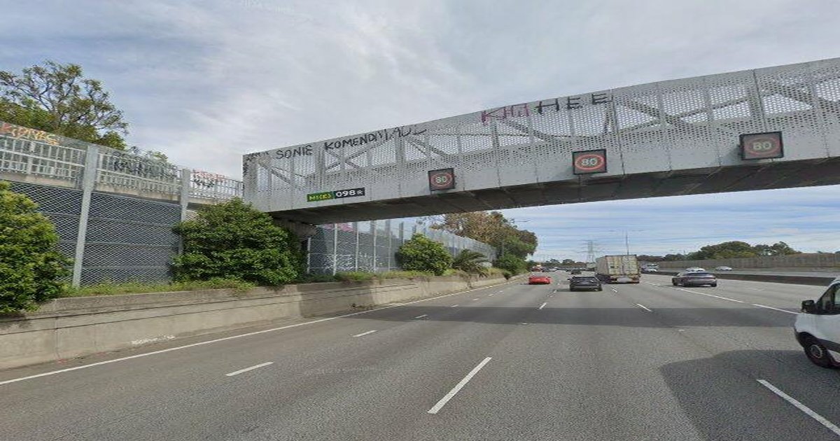 Best Cafes for Remote Work in Glen Iris Melbourne 2026