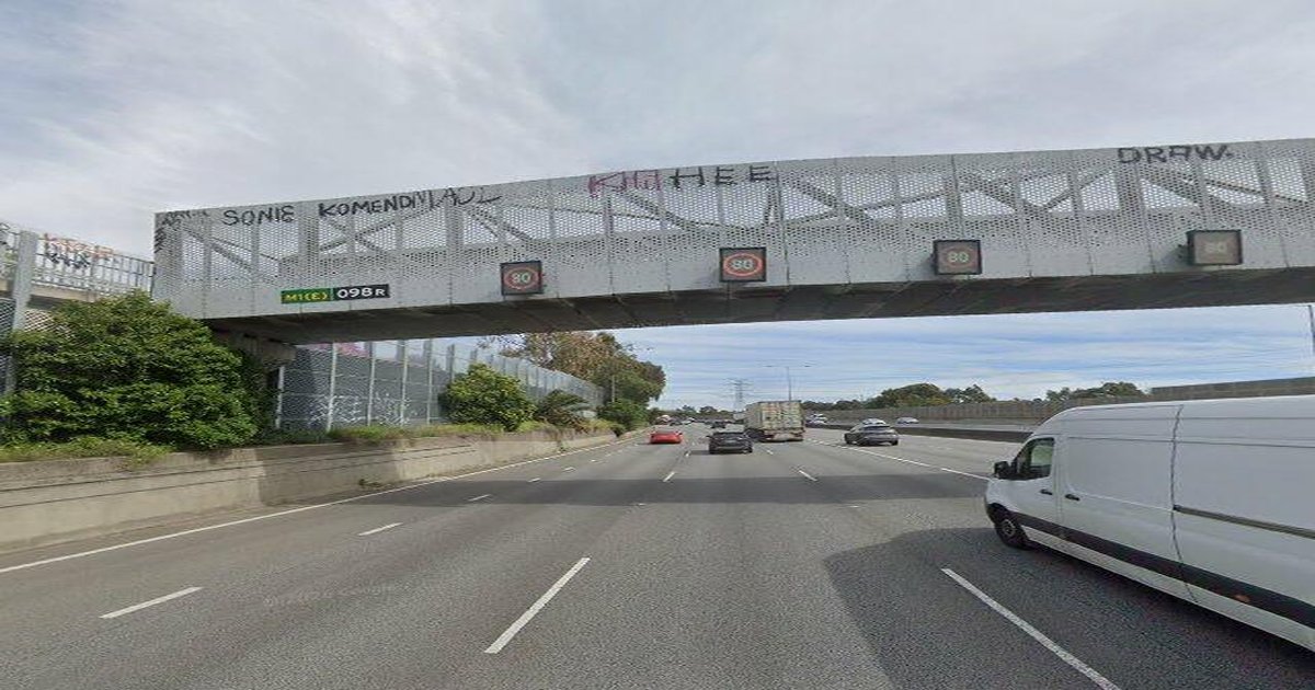 Libraries in Glen Iris — Beyond Books