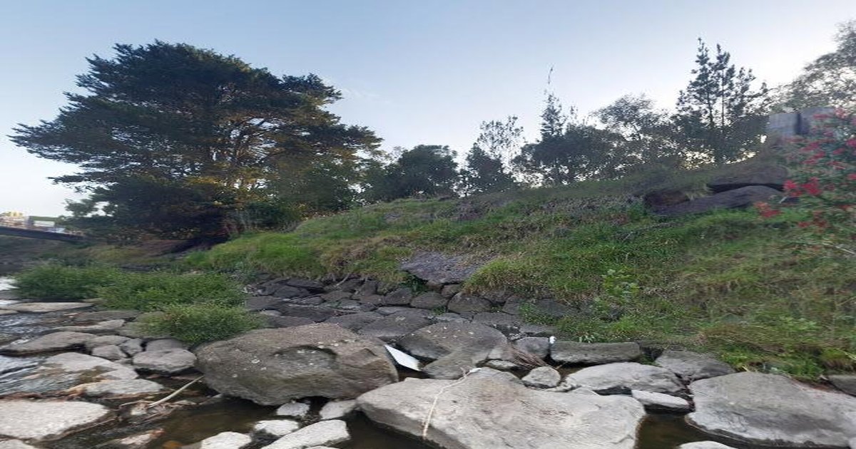 Parking in Glen Iris — Rules, Tips, Free Spots