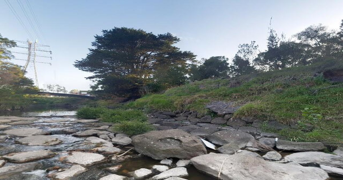 Is Glen Iris Good for Young Professionals? (2026)